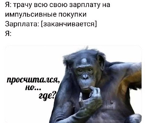 Я: трачу всю свою зарплату на импульсивные покупки Зарплата: [заканчивается] Я: просчитался,