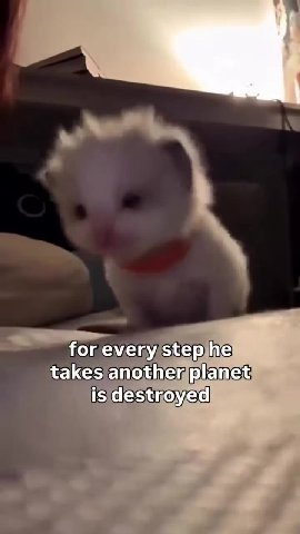 = for every/stephe takes anothenplanet) takes another planet