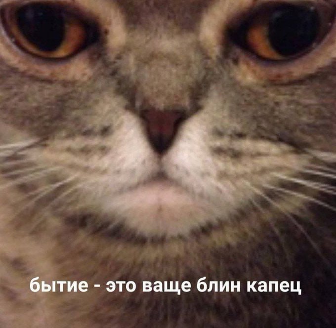 бытие это ваще блин капец