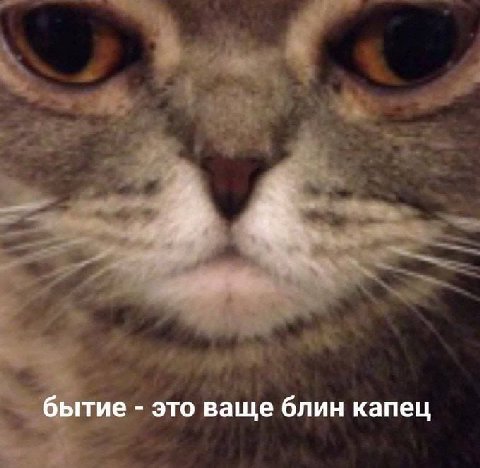 бытие это ваще блин капец