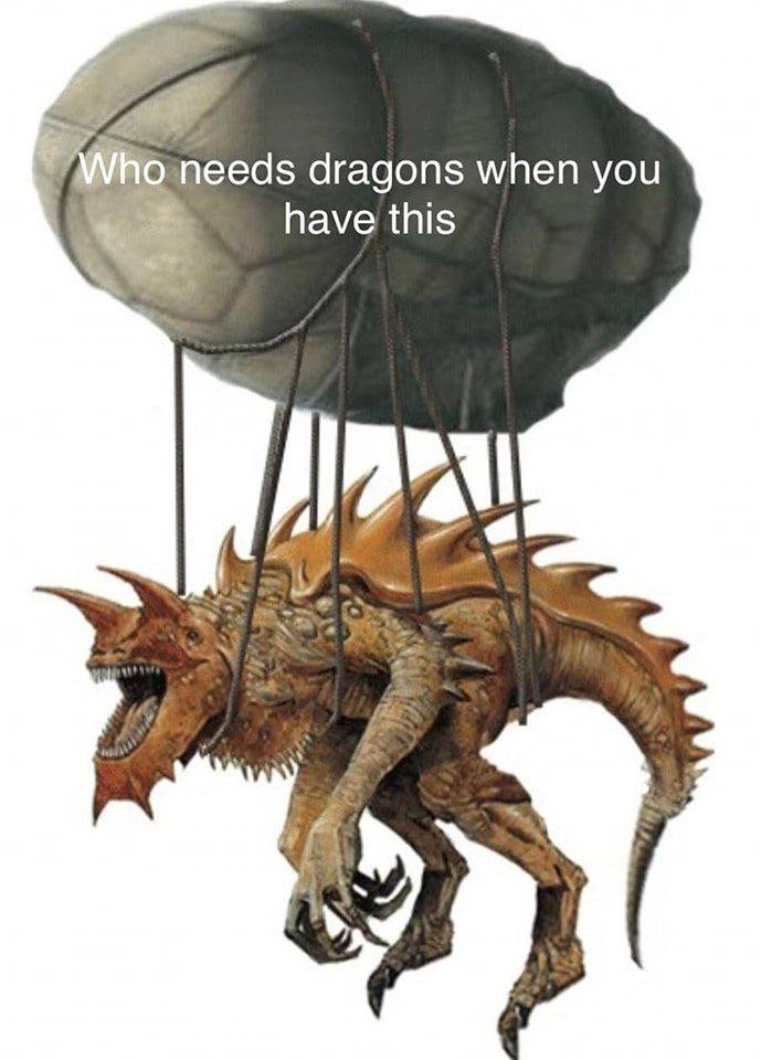 dragons when you have this a