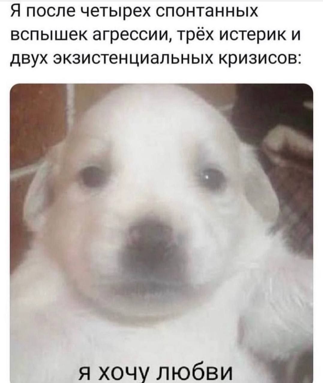 Я после четырех спонтанных вспышек агрессии, трёх истерик и двух экзистенциальных кризисов я хочу любви