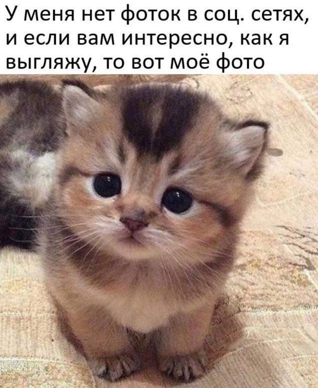 У меня нет фоток в соц. сетях, и если вам интересно, A выгляжу, то вот моё фото