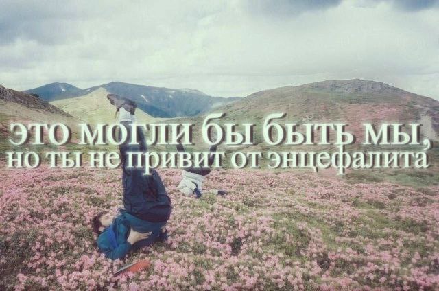 это могли бы быть MBI, ты не привит