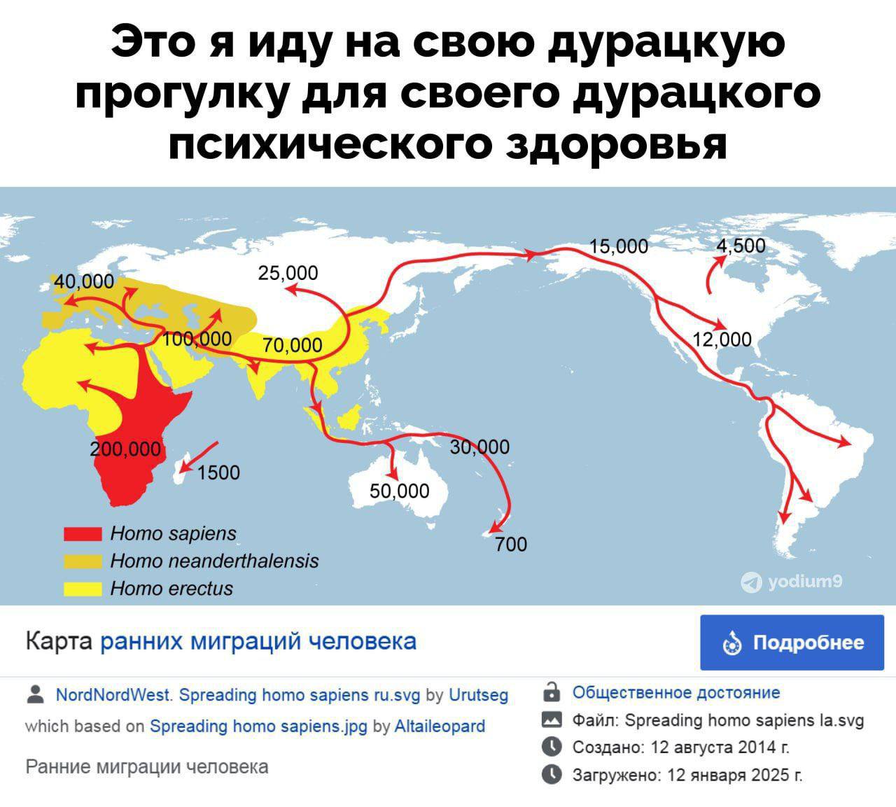 Это я иду на свою дурацкую прогулку для своего дурацкого психического здоровья 15,000 4;500 40,000 25,000 00 70,000 12,000 1500 50,000 Homo sapiens 700 Homo neanderthalensis Homo erectus Карта ранних 