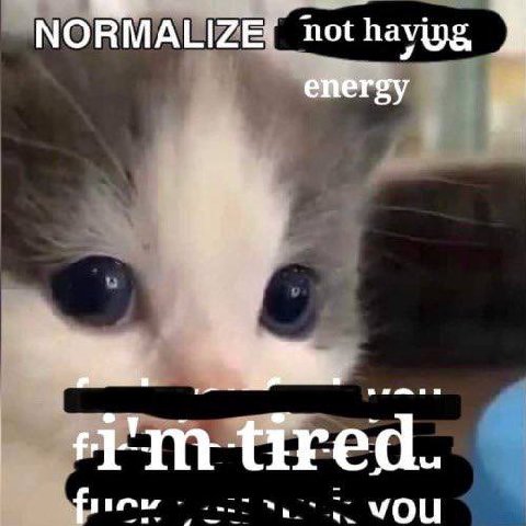 NORMAEIZ not VOU