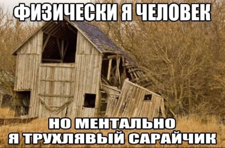 Я ЧЕЛОВЕК НО МЕНТАЛЬНО Я ТРУКЛЯВЫЙ САРАЙЧИК