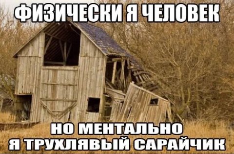Я ЧЕЛОВЕК НО МЕНТАЛЬНО Я ТРУКЛЯВЫЙ САРАЙЧИК
