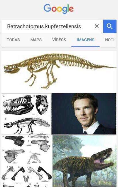 Google Batrachotomus kupferzellensis TODAS MAPS VIDEOS IMAGENS NO =a к А