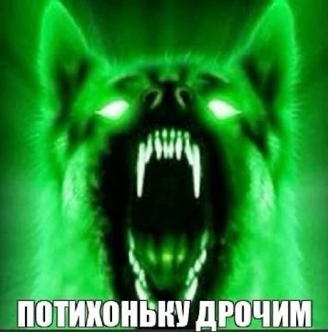 ДРОЧИМ