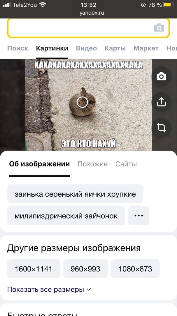 Tele2You 13:52 78 yandex.ru Поиск Картинки Видео Карты Маркет Но! i i 1 i Об изображении Похожие Сайты заинька серенький яички хрупкие милипиздрический зайчонок Другие размеры изображения Показать все