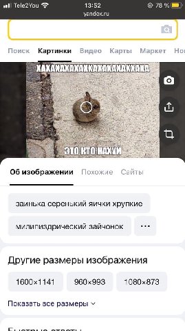 Tele2You 13:52 78 yandex.ru Поиск Картинки Видео Карты Маркет Но! i i 1 i Об изображении Похожие Сайты заинька серенький яички хрупкие милипиздрический зайчонок Другие размеры изображения Показать все