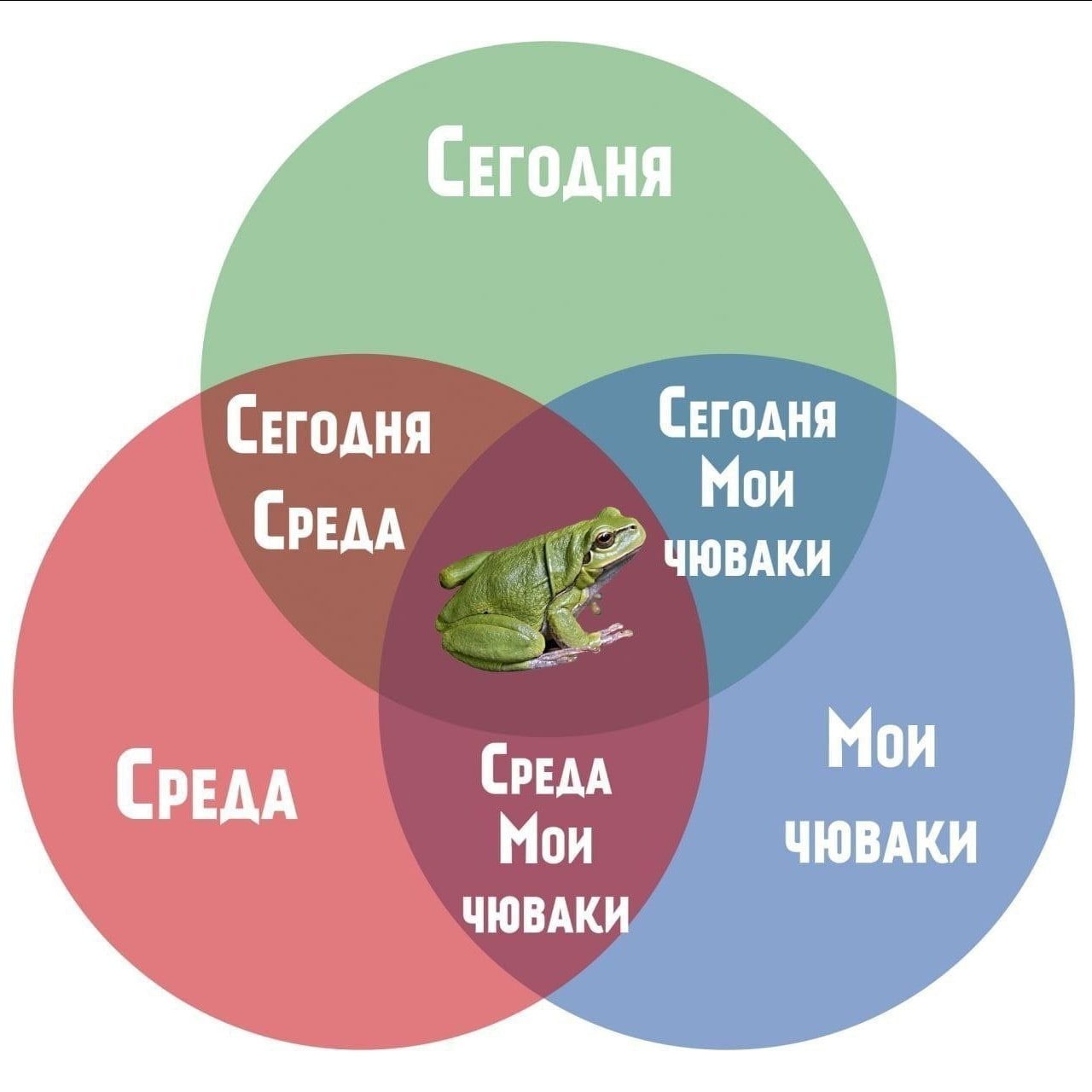 СЕГОДНЯ СЕГОДНЯ СРЕДА ЧЮВАКИ СРЕДА Мои СРЕДА Мои ЧЮВАКИ ЧЮВАКИ