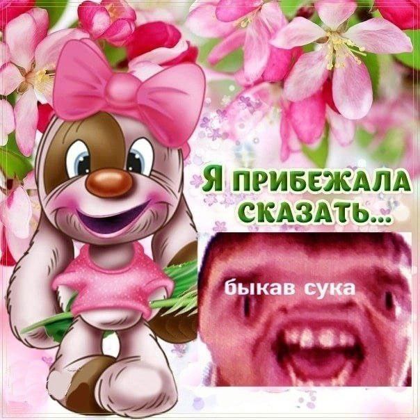 vad, Я CKASATb быка