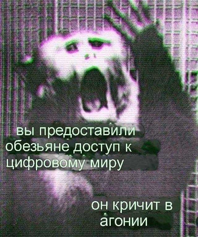 вы предоставили обезьяне доступ к цифровому миру он кричитв агонии