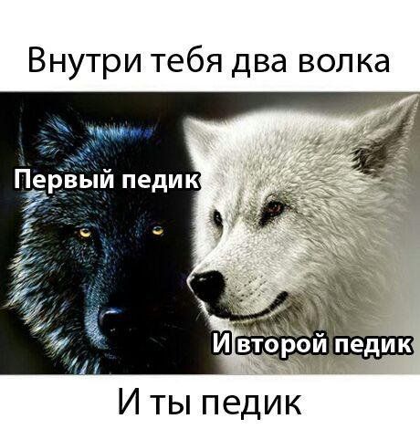 Внутри тебя два вол Первый педик ays едик Иты