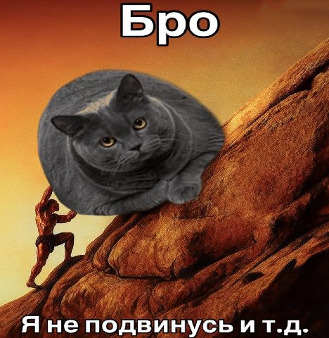 Бро Я не подвинусь ит.д
