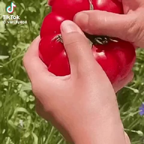 катя неси сюда свою клубничку