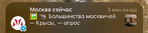 Москва сейчас 3 мин назад Большинство москвичей Крысы, опрос