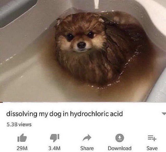 dissolving my dog hydrochloric acid 5.3В views a Share Download Save