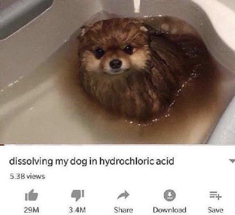 dissolving my dog hydrochloric acid 5.3В views a Share Download Save