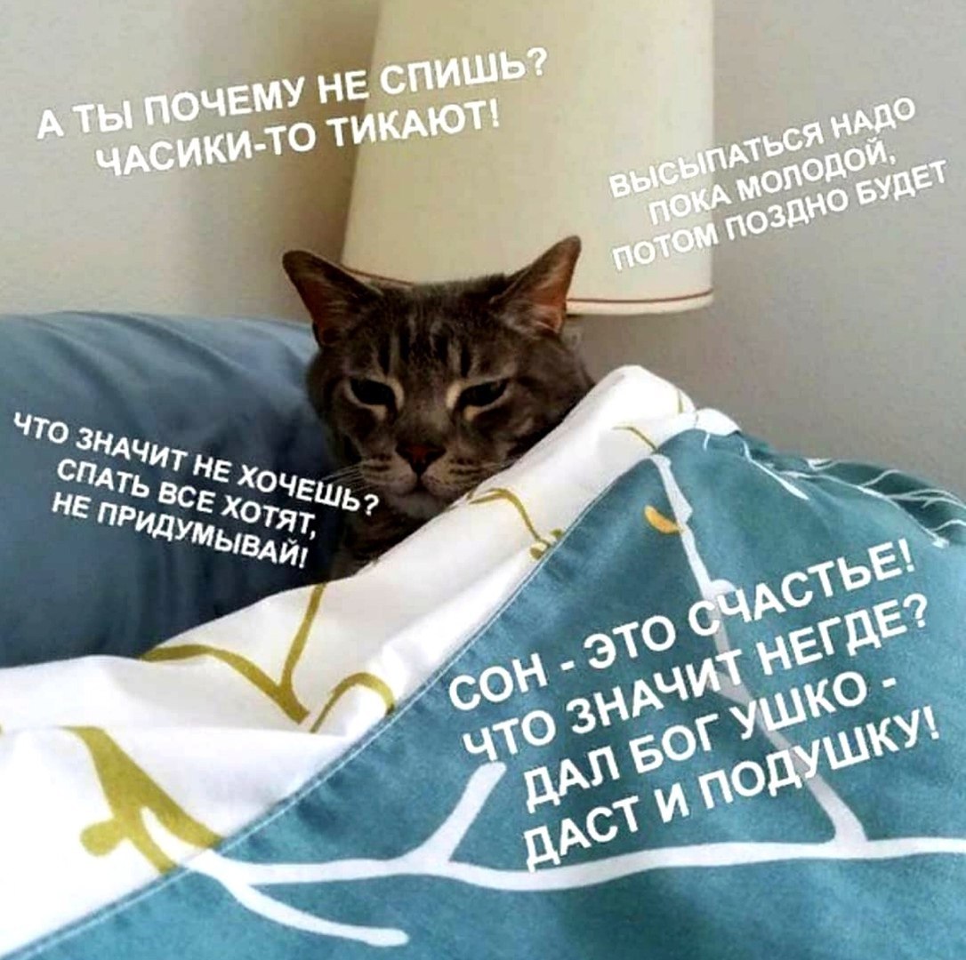 ты ПОЧЕМУ ИКАЮТ! АСИКУ- 03 СПАТЬ НЕ ПРИДУЕ ХОТЯ ЕШЬ> сле У