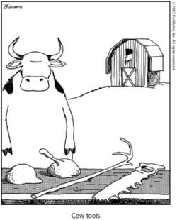 a Cow tools