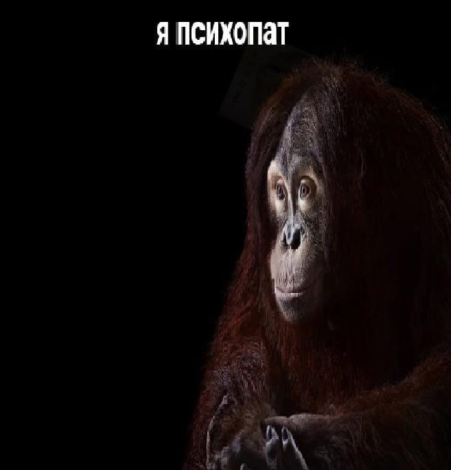 Я
