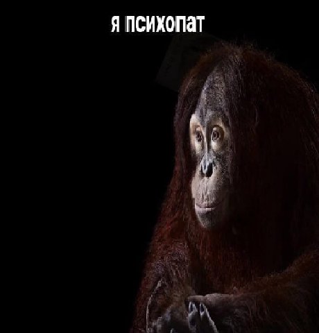 Я
