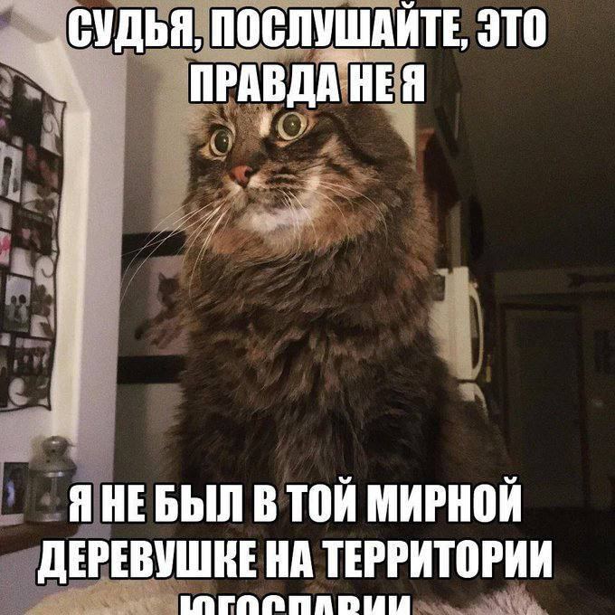 ‚СУДЬЯ, ПОСЛУШАЙТЕ, ЭТО Я НЕБЫЛ В ТОЙ МИРНОЙ ДЕРЕВУШКЕ НА ТЕРРИТОРИИ