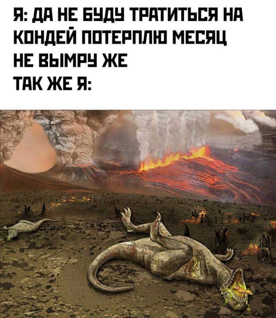 Я: ДА НЕ БУДУ ТРАТИТЬСЯ НА КОНДЕЙ ПОТЕРПЛЮ МЕСЯЦ НЕ ВЫМРУ ЖЕ ТАК ЖЕ