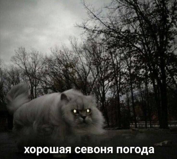 хорошая севоня погода
