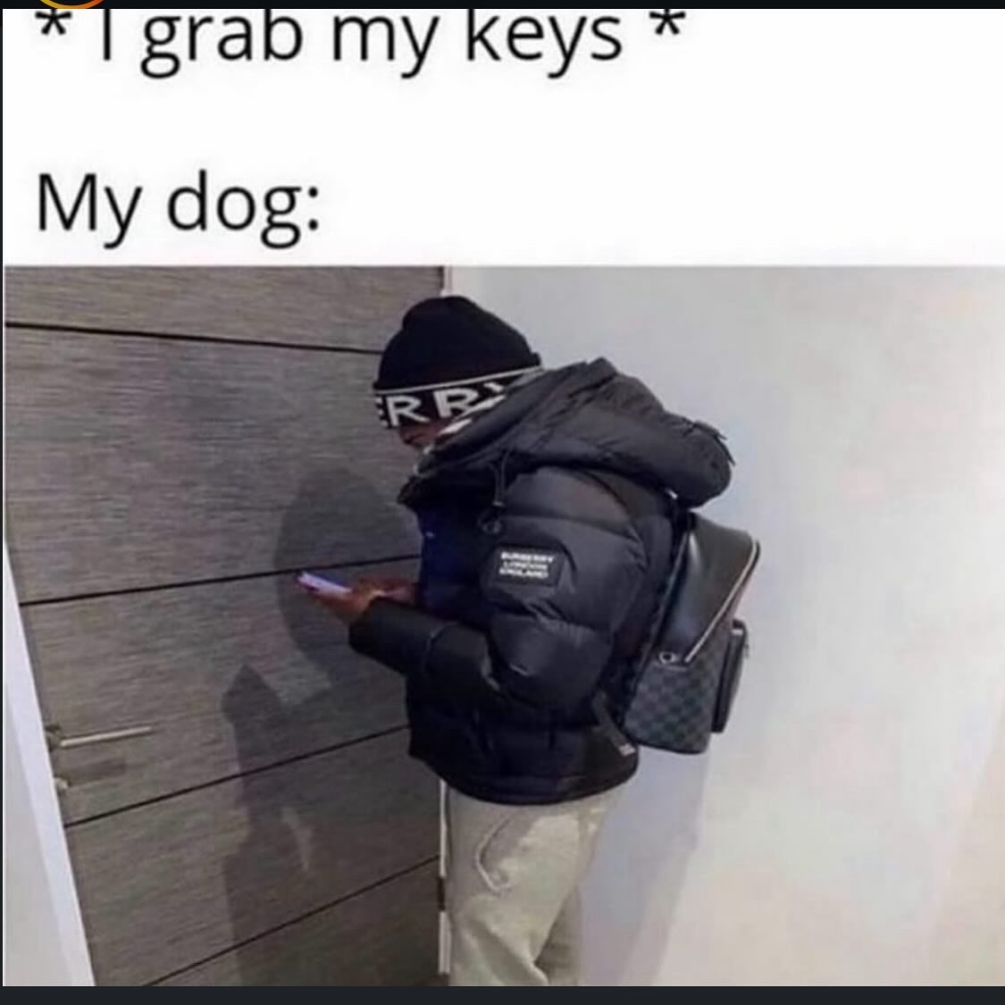 1 grab my keys My dog: