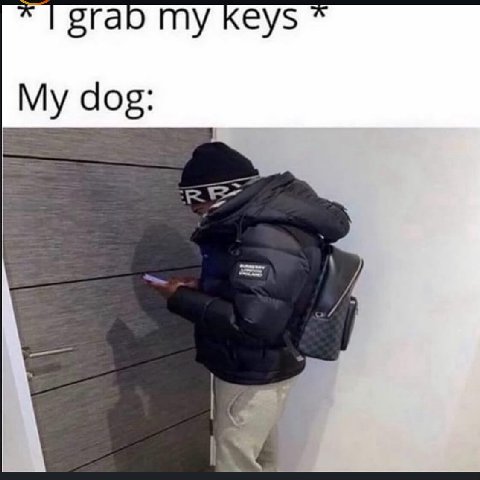 1 grab my keys My dog: