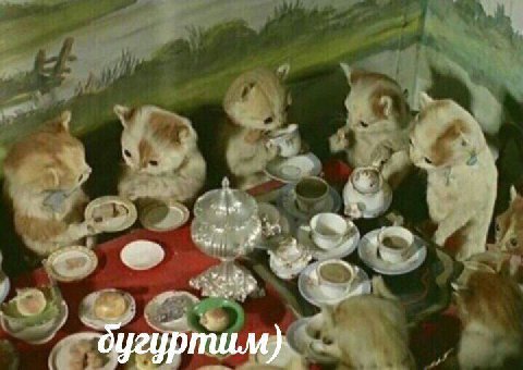 бугуртим)