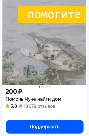 помогите Помочь Чуче найти дом 5.0 13079 отзывов