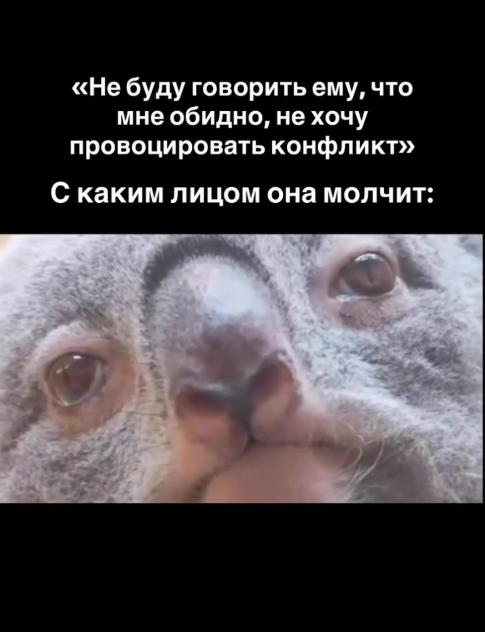 Перешли 😄
