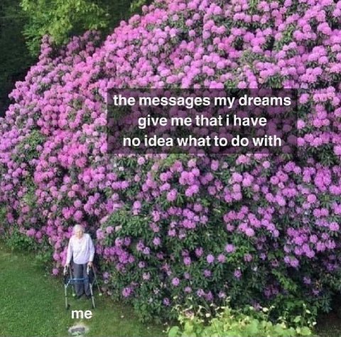агеат$ give me that i have idea what to with