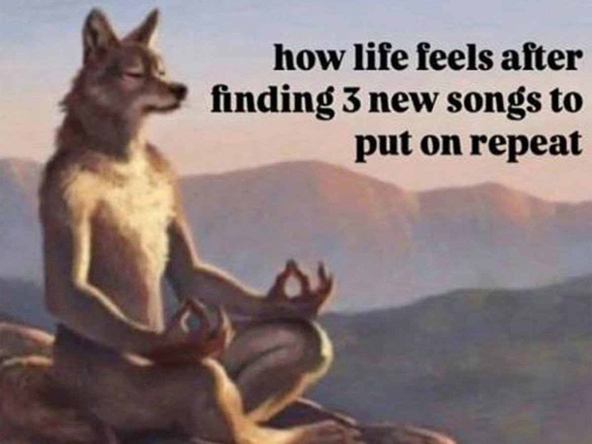 how life feels after finding 3 new songs to put on repeat