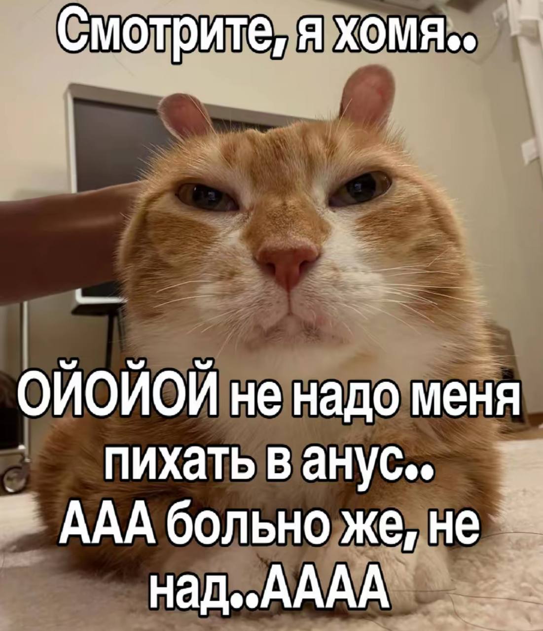 Смотрите, я хомя.. ОЙОЙОЙ не надо меня пихать в анус.. ААА больно же, не над..АААА