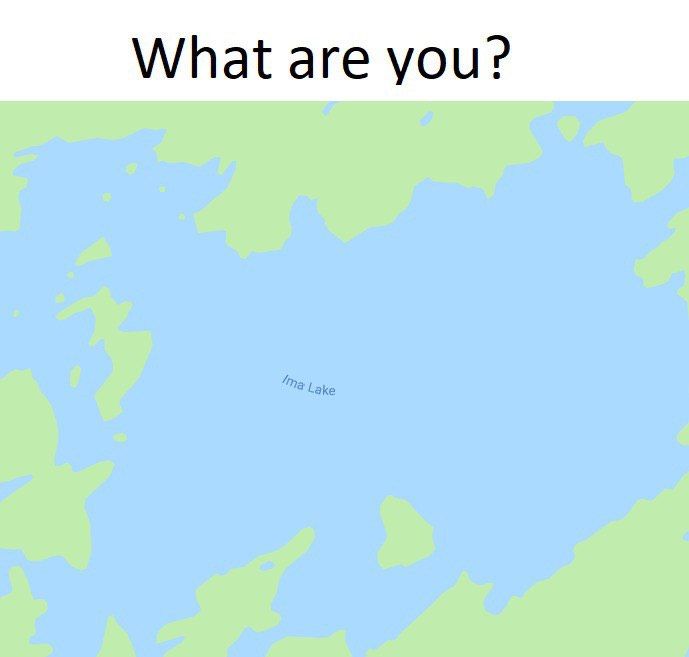What are you?