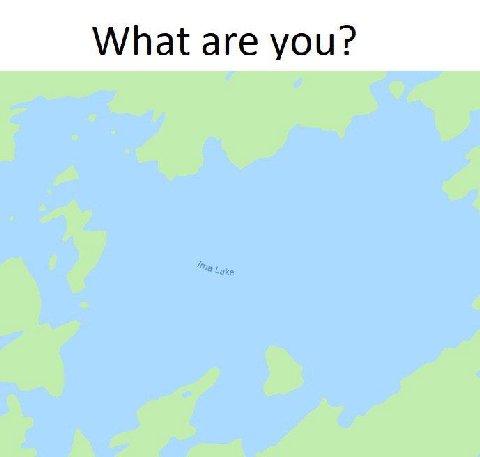 What are you?