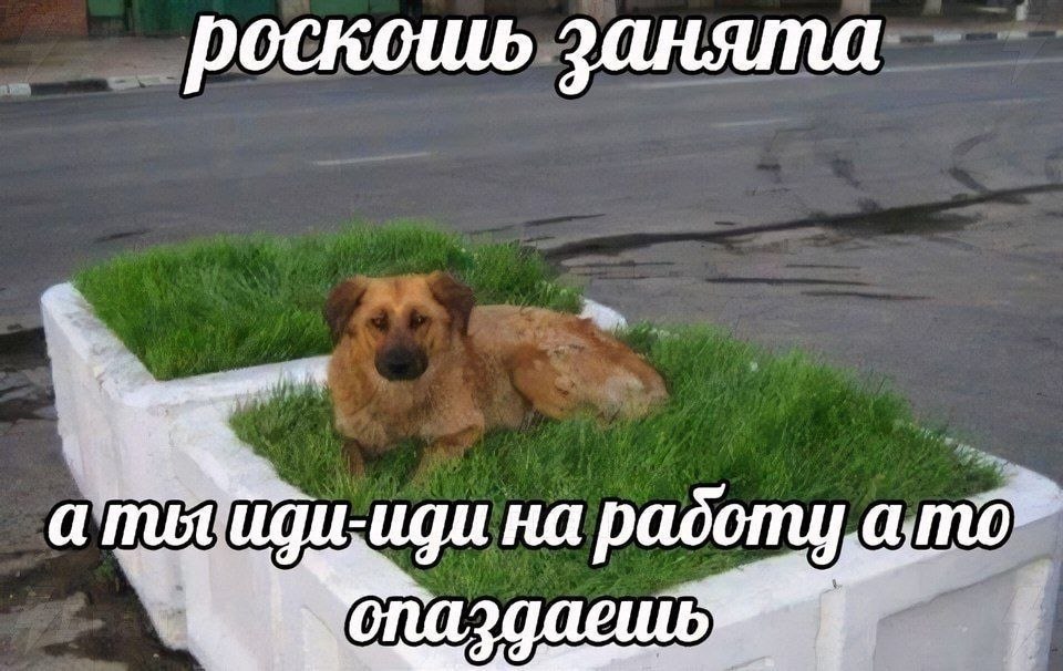 роскошь занята на padomy,a опаздаешь