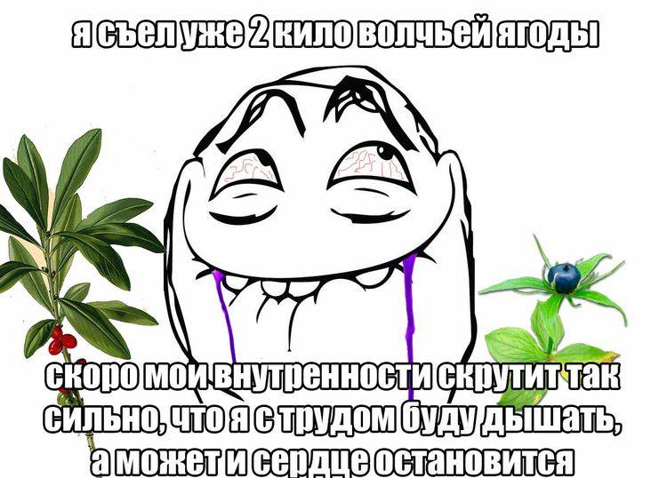 ясъелуже A Say
