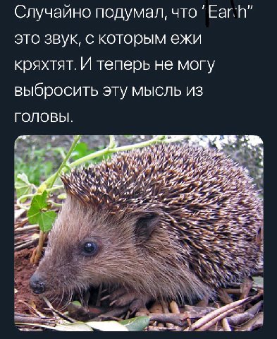 Случайно подумал, что это звук, с которым ежи кряхтят. И теперь не могу выбросить эту мысль из ГОЛОВЫ. 7 4 Vip SSS Sop