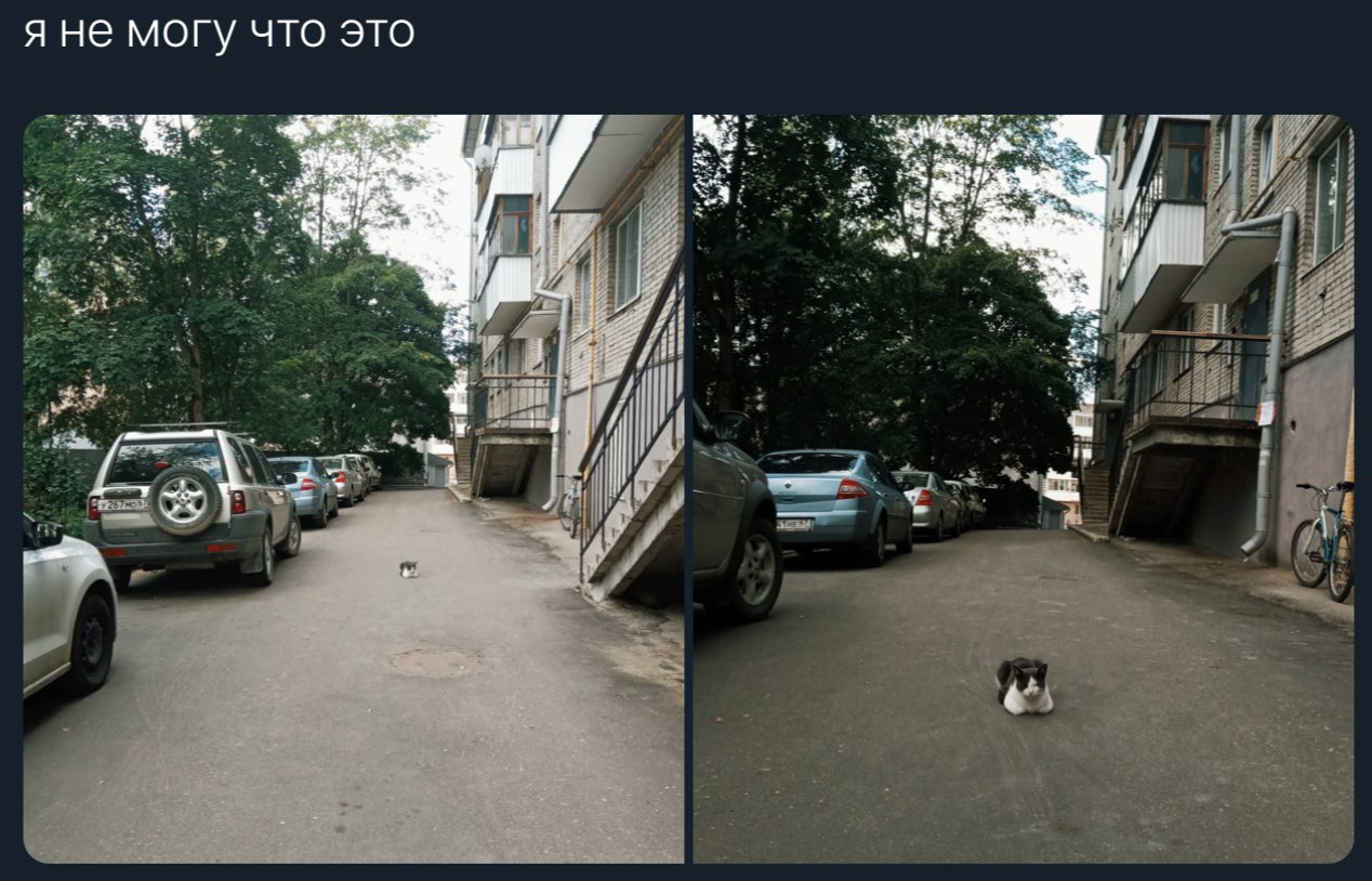 Я не могу что это у 4 4 if is А
