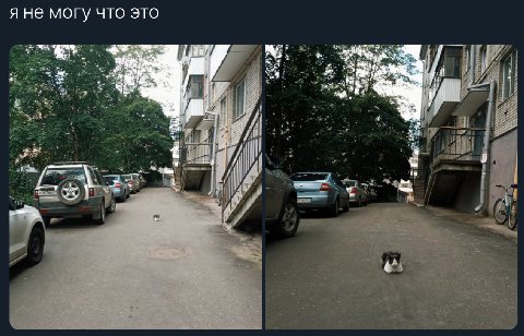 Я не могу что это у 4 4 if is А