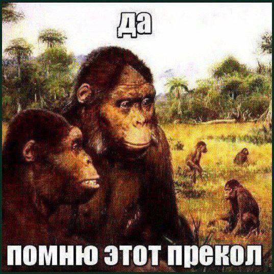 помню этот прекол