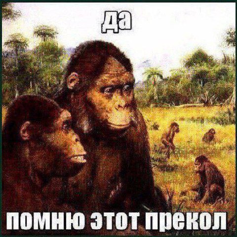 помню этот прекол