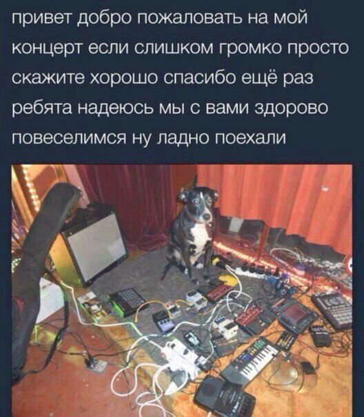 привет добро пожаловать на мой концерт если слишком громко просто скажите хорошо спасибо ещё раз ребята надеюсь мы с вами здорово повеселимся ну ладно поехали У